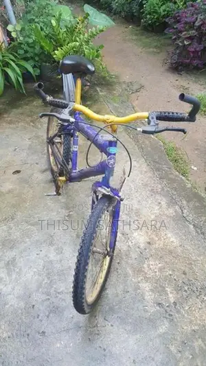 Rocky Bicycle