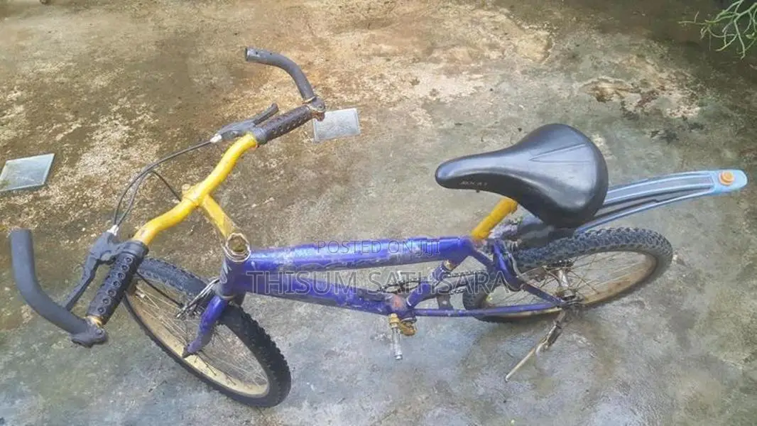 Rocky Bicycle