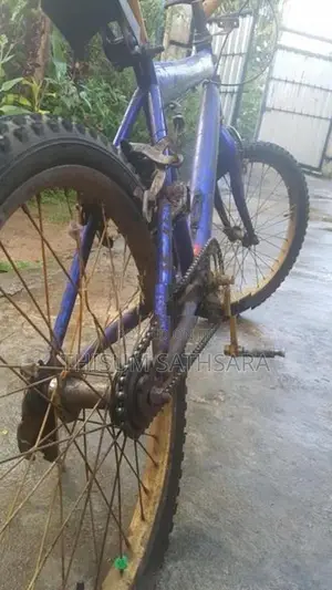 Rocky Bicycle