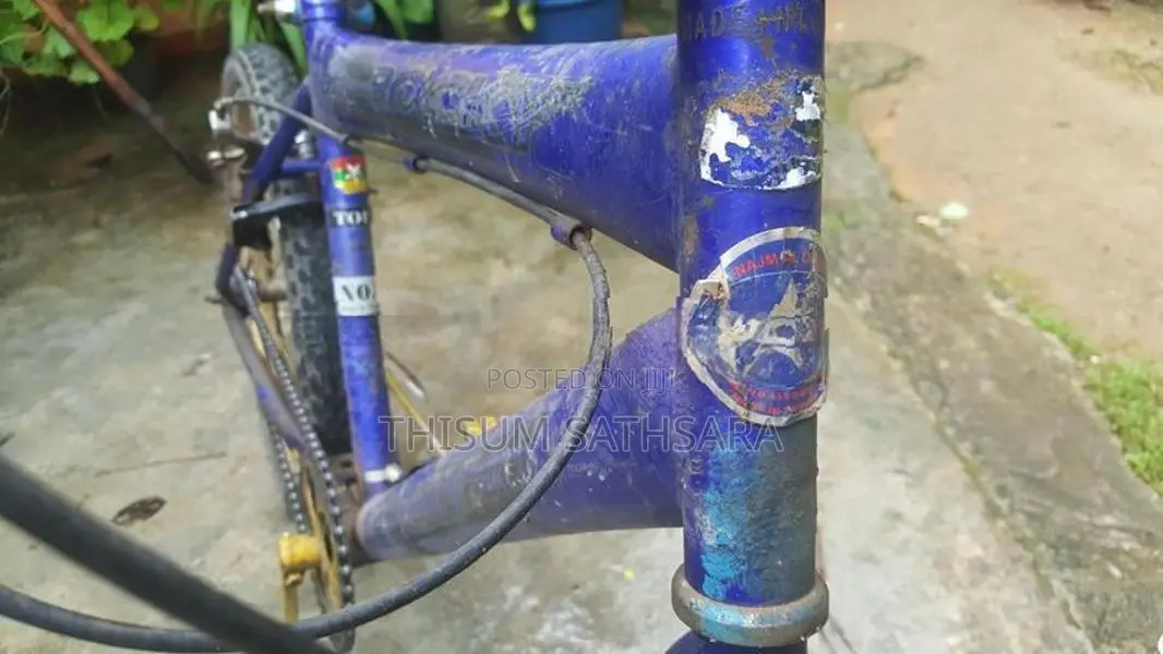 Rocky Bicycle