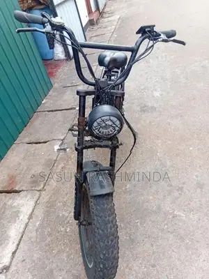 Electric Bicycle