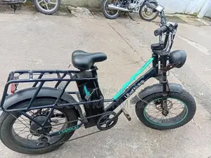 Electric Bicycle