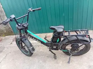 Electric Bicycle