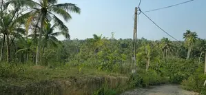 Land For Sale in Baddegama(SSPL-441)