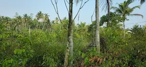 Land For Sale in Baddegama(SSPL-441)