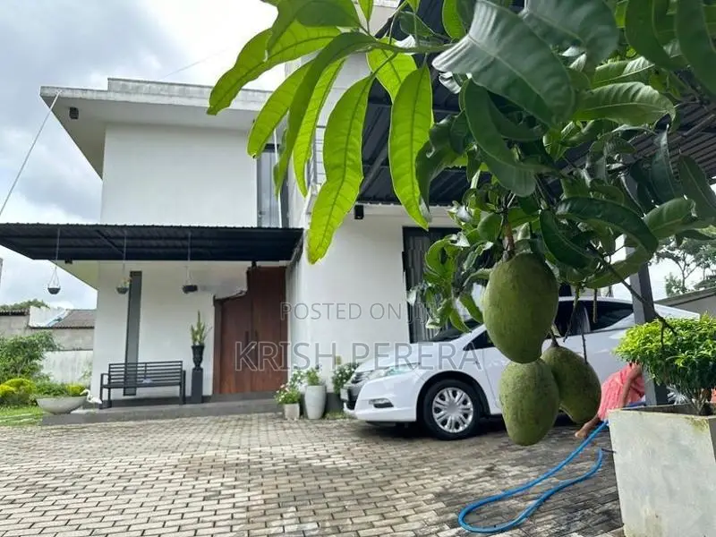 Luxury House for Rent Homagama