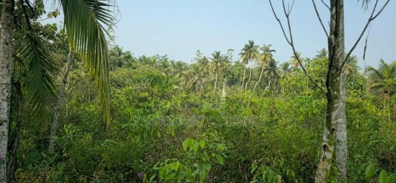 Land For Sale in Baddegama(SSPL-441)