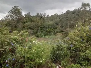 විකුණන ඉඩම Bandarawela