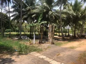 57බස් මාර්ගයට මුහුණලා Land Wariyapola