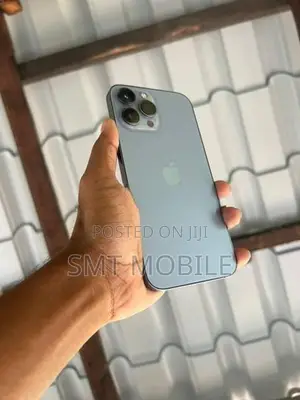 Apple iPhone 12 Pro Max (Used)