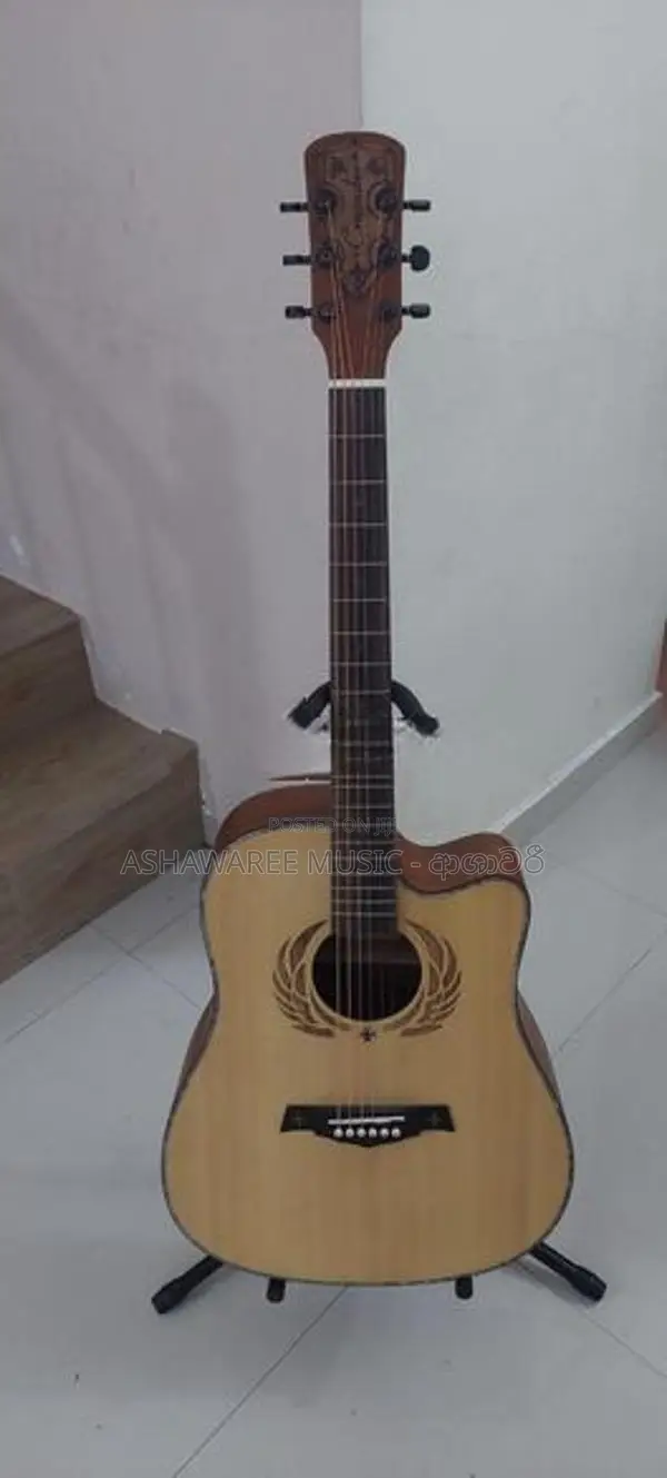 Crusader Accoustic Box Guitar