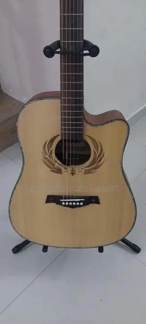 Crusader Accoustic Box Guitar