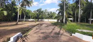 Land Blocks for Sale – Kuliyapitiya