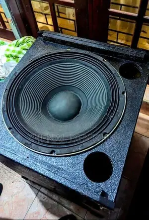 Professional Sounds Speaker