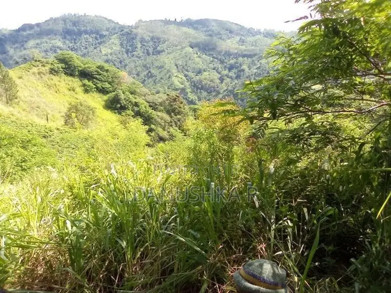 Scenic Ella View Land for Sale Mahamewnawa