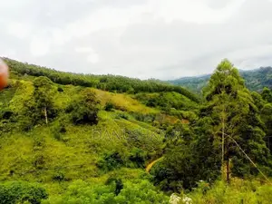 Scenic Ella View Land for Sale Mahamewnawa