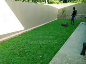 Malaysian Grass