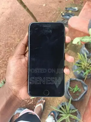 Apple iPhone 7 Plus (Used)