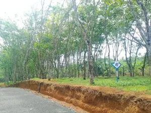 Land for Sale in Ahangama Tourism Area