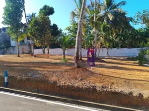 Main Road Facing Land for Sale in Meepawala