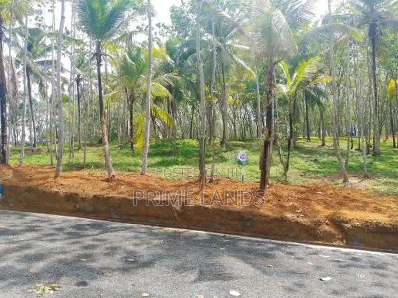 Land for Sale in Ahangama Tourism Area