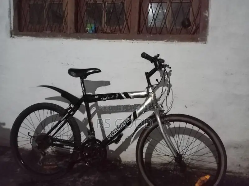 Phillips Mountain Bicycle Tyre Size 24