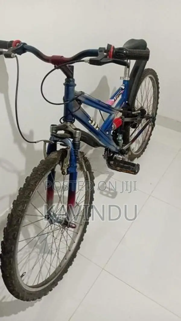 Japan Recondition Bicycle
