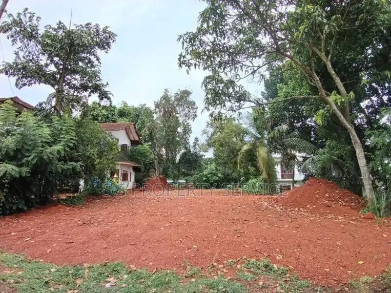 Divulapitiya 19.5 Perches Land for Sale (SSPL-442)
