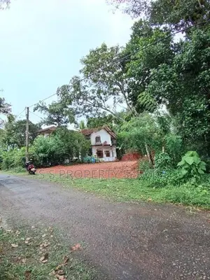 Divulapitiya 19.5 Perches Land for Sale (SSPL-442)