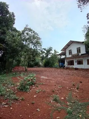 Divulapitiya 19.5 Perches Land for Sale (SSPL-442)
