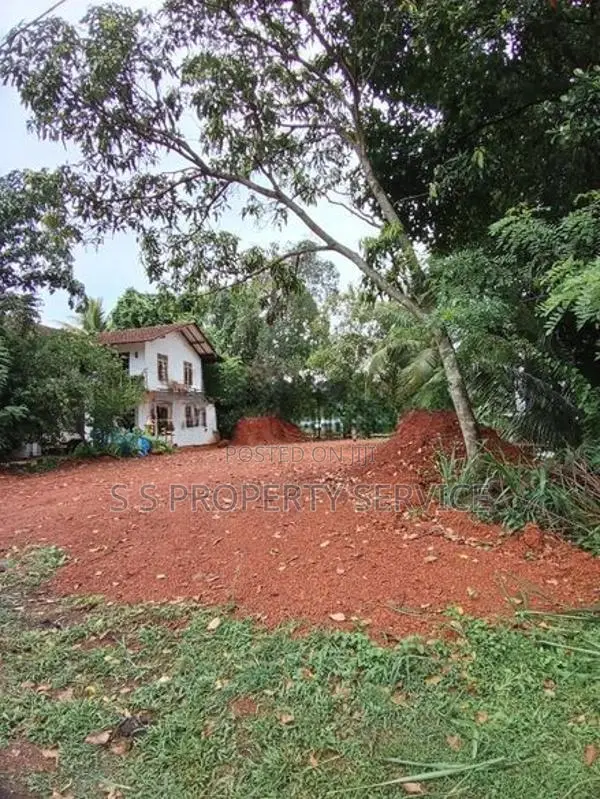 Divulapitiya 19.5 Perches Land for Sale (SSPL-442)