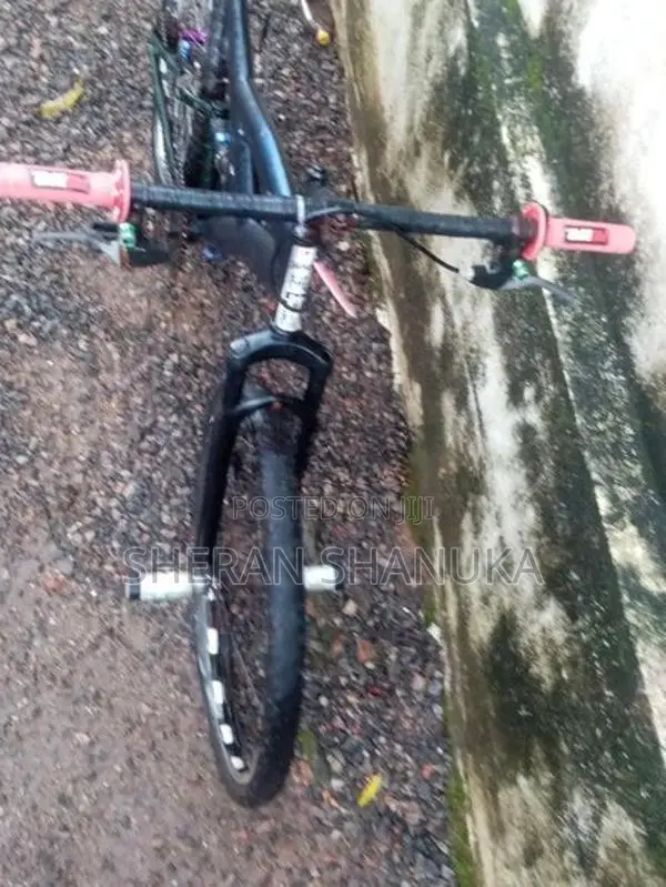 Kenton Bicycle