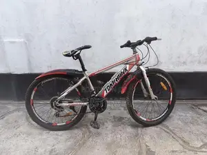 Tomahawk Bike