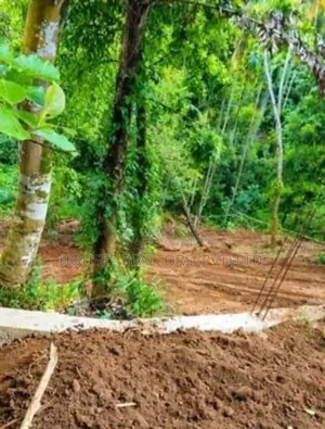 Valuable Land for Sale Close to Kandy City