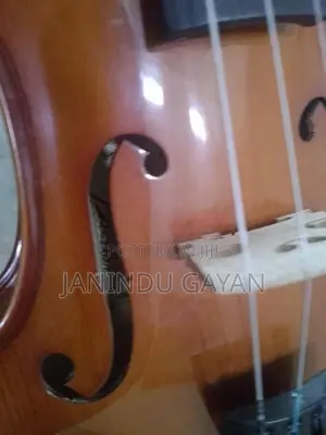 Violin