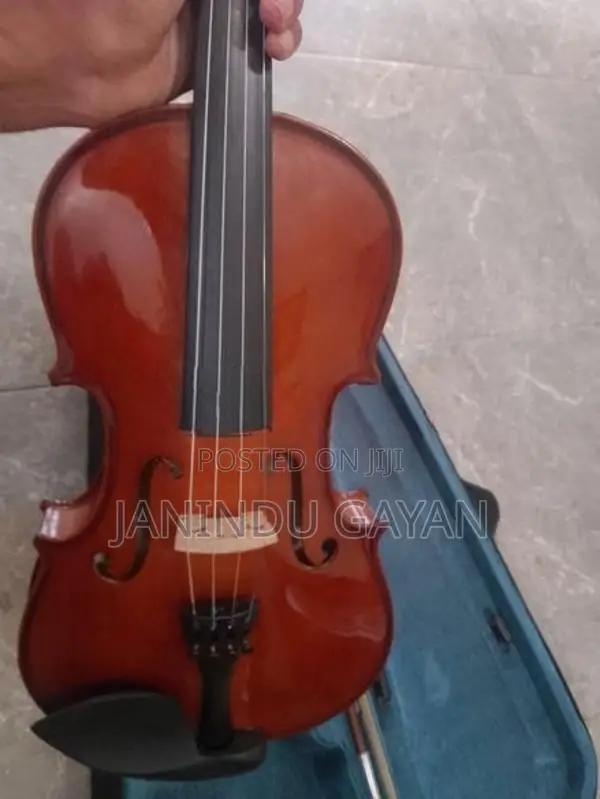 Violin