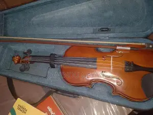 Violin