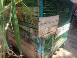Love Birds Cage