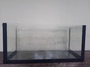 Fish Tank with Aquarium Light