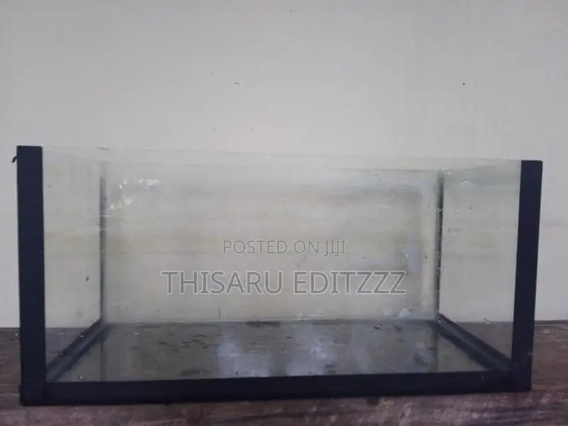 Fish Tank with Aquarium Light