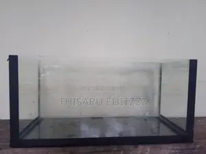 Fish Tank with Aquarium Light