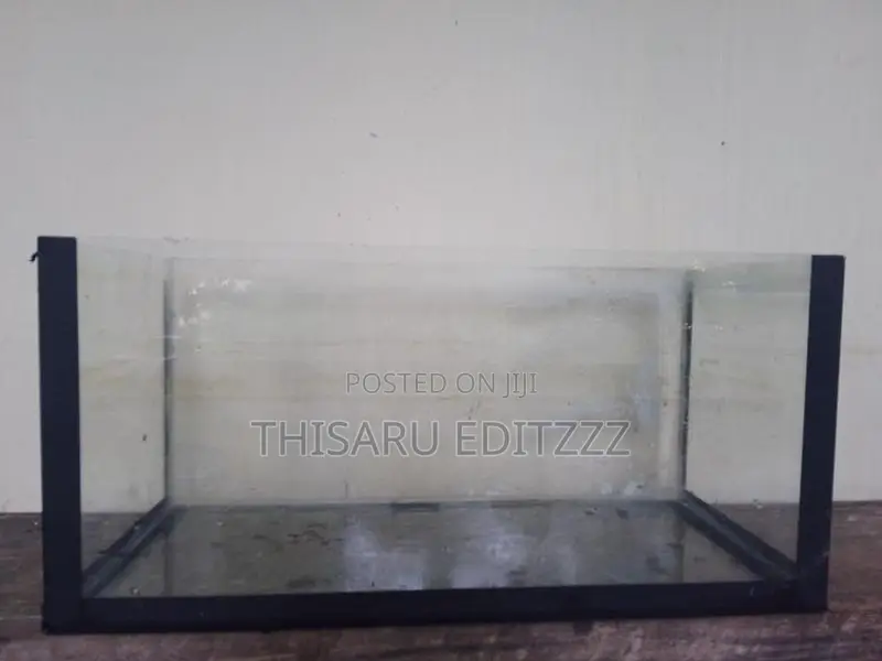 Fish Tank with Aquarium Light