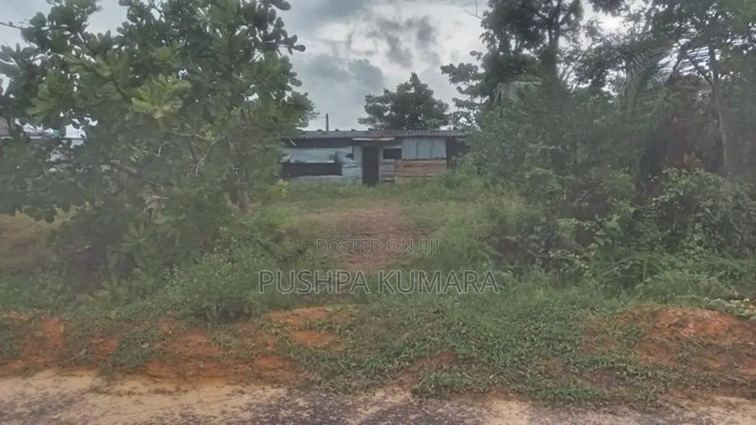 ගොනපීනුවල අගනා බිම් කොටසක් විකිණීමට