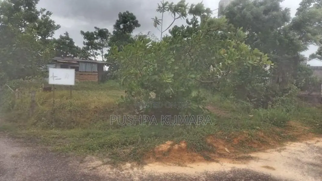 ගොනපීනුවල අගනා බිම් කොටසක් විකිණීමට