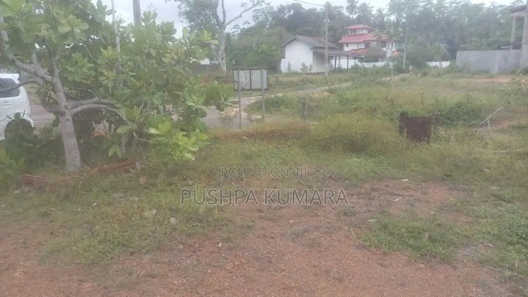 ගොනපීනුවල අගනා බිම් කොටසක් විකිණීමට