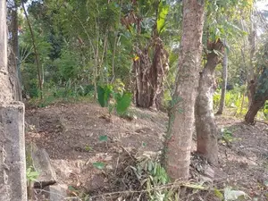 Land for Sale – Near Kandy Colombo Main Road (Kandahena Road)