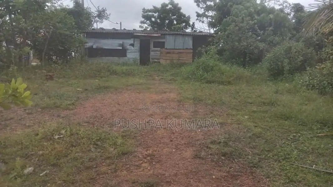 ගොනපීනුවල අගනා බිම් කොටසක් විකිණීමට