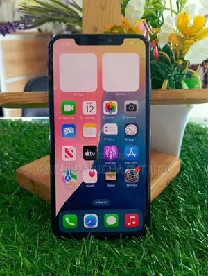 Apple iPhone XS Max 256GB (Used)
