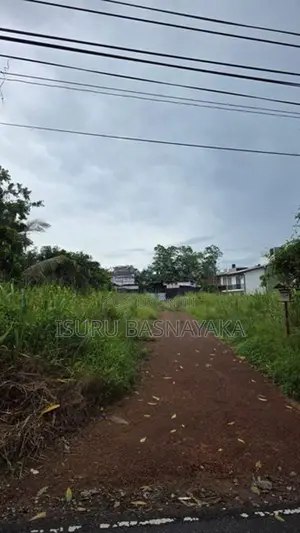 Athurugiriya Horahena Wanaguru mawatha 1acres land for rent.