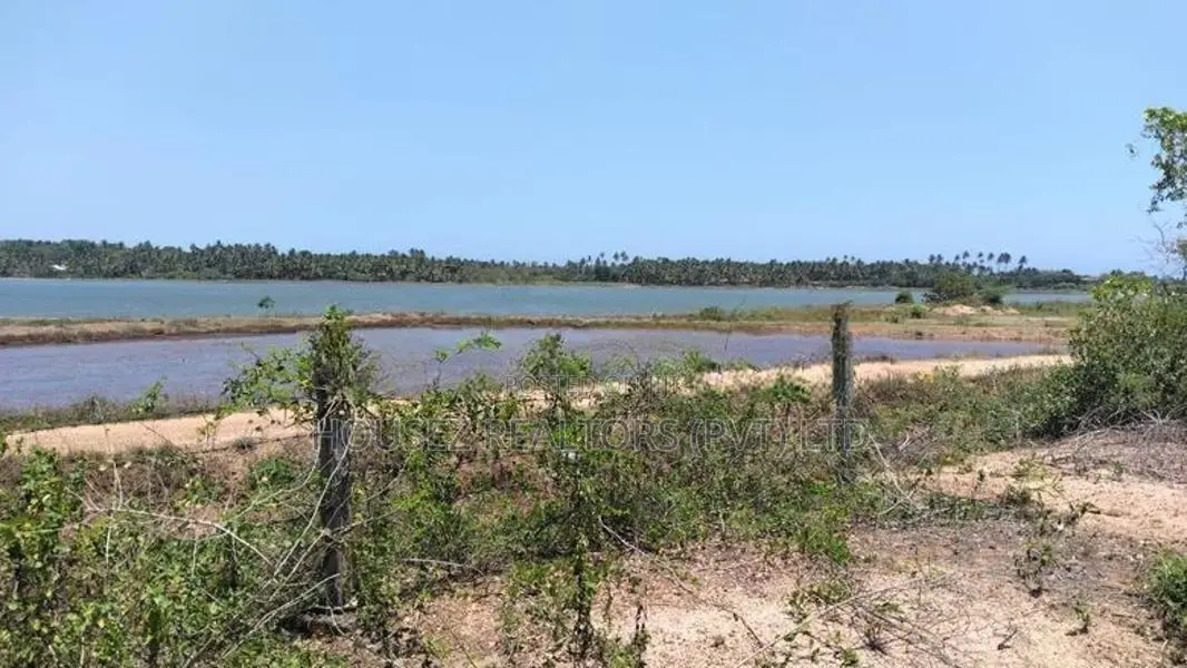 Prime Land for Sale in Tangalle – 560 Perches
